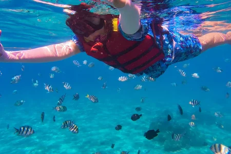 Tour in autobus al Parco Nazionale di Ras Mohamed